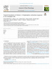 Targeted knockdown of ribulose-1, 5-bisphosphate carboxylase-oxygenase in rice mesophyll cells Cover Page