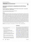 Litter fractions and dynamics in a degraded pine forest after thinning treatments Cover Page