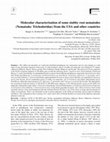 Molecular characterisation of some stubby root nematodes (Nematoda: Trichodoridae) from the USA and other countries Cover Page