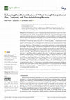 Enhancing Zinc Biofortification of Wheat through Integration of Zinc, Compost, and Zinc-Solubilizing Bacteria Cover Page