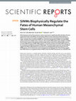 SiNWs Biophysically Regulate the Fates of Human Mesenchymal Stem Cells Cover Page