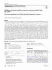 Regulation of protein synthesis in porcine mammary epithelial cells by l-valine Cover Page