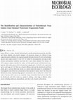 Research paper thumbnail of The Identification and Characterization of Osmotolerant Yeast Isolates from Chemical Wastewater Evaporation Ponds