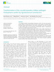 Transformation of the cucurbit powdery mildew pathogen Podosphaera xanthii by Agrobacterium tumefaciens Cover Page