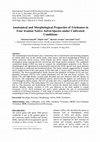 Research paper thumbnail of Anatomical and Morphological Properties of Trichomes in Four Iranian Native Salvia Species under Cultivated Conditions