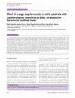 Effect of orange pulp fermented in solid substrate with Saccharomyces cerevisiae in diets, on productive behavior of confined lambs Cover Page