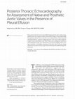 Posterior Thoracic Echocardiography for Assessment of Native and Prosthetic Aortic Valves in the Presence of Pleural Effusion Cover Page