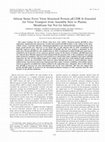 Research paper thumbnail of African Swine Fever Virus Structural Protein p72 Contains a Conformational Neutralizing Epitope