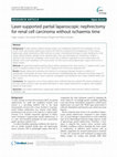 Research paper thumbnail of Laser-supported partial laparoscopic nephrectomy for renal cell carcinoma without ischaemia time