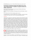 Expression of membrane‐bound and soluble FasL in Fas‐ and FADD‐dependent T lymphocyte apoptosis induced by mildly oxidized LDL Cover Page