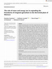 Research paper thumbnail of The role of water and energy use in expanding the boundaries of irrigated agriculture in the Berrechid plain of Morocco