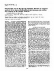 Research paper thumbnail of Polymorphic sites in the African population detected by sequence analysis of the glucose-6-phosphate dehydrogenase gene outline the evolution of the variants A and A