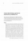 Research paper thumbnail of THE NATSIR INTEGRAL MOTION IN GEOPOLITICAL PERSPECTIVE