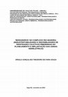 BEIRADEIROS NO COMPLEXO RIO MADEIRA INSUSTENTABILIDADES E INVISIBILIDADES DE IDENTIDADES COLETIVAS RIBEIRINHAS Cover Page