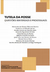 Tutela da posse: questões materiais e processuais Cover Page