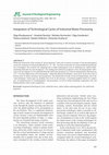 Research paper thumbnail of Integration of Technological Cycles of Industrial Waste Processing