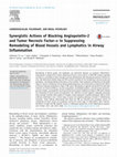 Research paper thumbnail of Synergistic Actions of Blocking Angiopoietin-2 and Tumor Necrosis Factor-α in Suppressing Remodeling of Blood Vessels and Lymphatics in Airway Inflammation