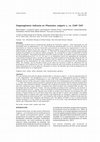 Research paper thumbnail of Organogénesis indirecta en Phaseolus vulgaris L. cv. CIAP 7247