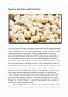 Research paper thumbnail of Potato Eaters, Potato Painters, and the Taste of Critics