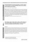 Research paper thumbnail of The Feeding Activity of Moina Micrura (Kurz, 1874) (Cladocera) Fed with Two Different Microalgae Species (Chlorella vulgaris, Scenedesmus dimorphus) and Saccharomyces cerevisiae