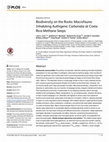 Correction: Biodiversity on the Rocks: Macrofauna Inhabiting Authigenic Carbonate at Costa Rica Methane Seeps Cover Page