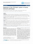 Research paper thumbnail of Expression of the TGF-beta1 system in human testicular pathologies