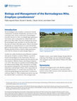 Biology and Management of the Bermudagrass Mite, Eriophyes cynodoniensis Cover Page