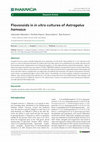 Research paper thumbnail of Figure 2 from: Shkondrov A, Popova P, Ionkova I, Krasteva I (2021) Flavonoids in in vitro cultures of Astragalus hamosus. Pharmacia 68(4): 927-931. https://doi.org/10.3897/pharmacia.68.e76460