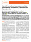 Human brown adipose tissue is phenocopied by classical brown adipose tissue in physiologically humanized mice Cover Page