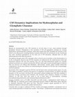 CSF Dynamics: Implications for Hydrocephalus and Glymphatic Clearance Cover Page