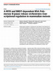 A-MYB and BRDT-dependent RNA Polymerase II pause release orchestrates transcriptional regulation in mammalian meiosis Cover Page