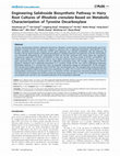 Engineering Salidroside Biosynthetic Pathway in Hairy Root Cultures of Rhodiola crenulata Based on Metabolic Characterization of Tyrosine Decarboxylase Cover Page