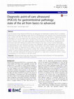 Research paper thumbnail of Diagnostic point-of-care ultrasound (POCUS) for gastrointestinal pathology: state of the art from basics to advanced