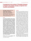 Research paper thumbnail of A cyanobacterial serine protease of Plasmodium falciparum is targeted to the apicoplast and plays an important role in its growth and development