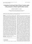 Evaluation Growth and Yield of Wheat Varieties under Ceiba pentandra (L) Based Agrisilviculture System Cover Page