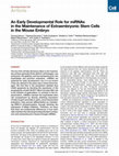 An Early Developmental Role for miRNAs in the Maintenance of Extraembryonic Stem Cells in the Mouse Embryo Cover Page