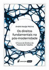 Os direitos fundamentais na pós-modernidade: o futuro do Direito e do Processo do Trabalho Cover Page