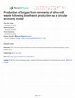 Production of biogas from remnants of olive mill waste following bioethanol production as a circular economy model Cover Page