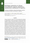 Research paper thumbnail of Morfología comparativa en Lithraea (Anacardiaceae), aspectos vegetativos y reproductivos y distribución en Argentina