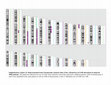 Supplementary Figure S2 from Prospective Phase II Study on 5-Days Azacitidine for Treatment of Symptomatic and/or Erythropoietin Unresponsive Patients with Low/INT-1–Risk Myelodysplastic Syndromes Cover Page