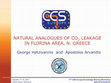 NATURAL ANALOGUES OF CO2 LEAKAGE IN FLORINA AREA, N. GREECE Cover Page