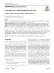 Research paper thumbnail of CD146 expression in oral lichen planus and oral cancer