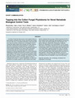 Research paper thumbnail of A fungal endophyte defensive symbiosis affects plant-nematode interactions in cotton