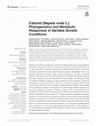 Research paper thumbnail of Catmint (Nepeta nuda L.) Phylogenetics and Metabolic Responses in Variable Growth Conditions