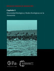 Research paper thumbnail of Capítulo 3: Diversidad Biológica y Redes Ecológicas en la Amazonía