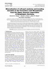 Mineralization of soft-part anatomy and invading microbes in the horseshoe crabMesolimulusfrom the Upper Jurassic Lagerstätte of Nusplingen, Germany Cover Page