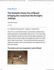 Research paper thumbnail of The fantastic Hoary Fox of Brazil: bringing the nocturnal into the light