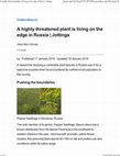 Research paper thumbnail of A highly threatened plant is living on the edge in Russia