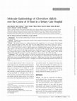 Research paper thumbnail of Molecular Epidemiology of<i>Clostridium difficile</i>over the Course of 10 Years in a Tertiary Care Hospital