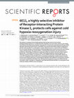 Research paper thumbnail of 6E11, a highly selective inhibitor of Receptor-Interacting Protein Kinase 1, protects cells against cold hypoxia-reoxygenation injury